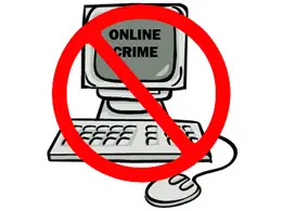 Anti Online Crime