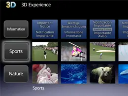 Sony 3D Experience