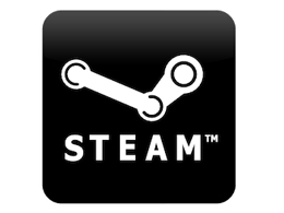 Steam