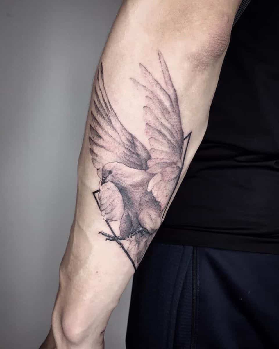 galamb tetoválás (8)
