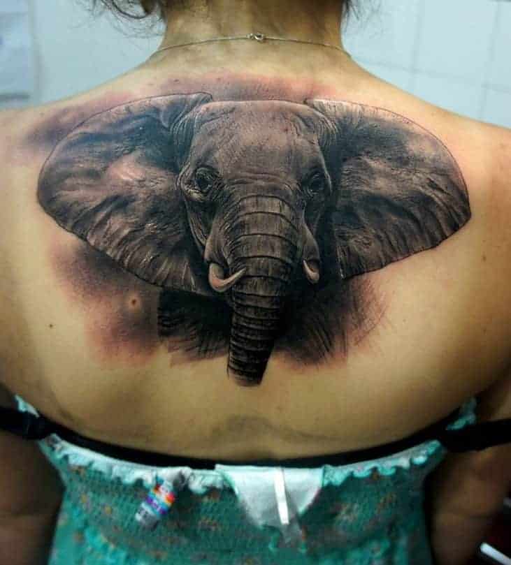 elefánt fej tetoválás