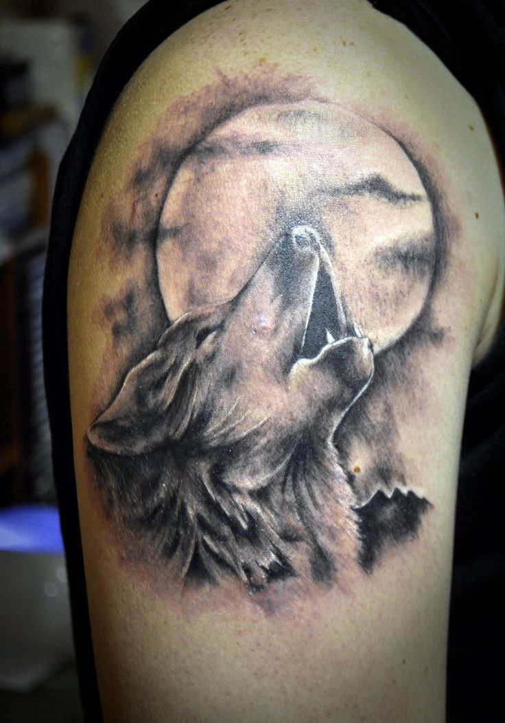 hold és farkas tetoválás